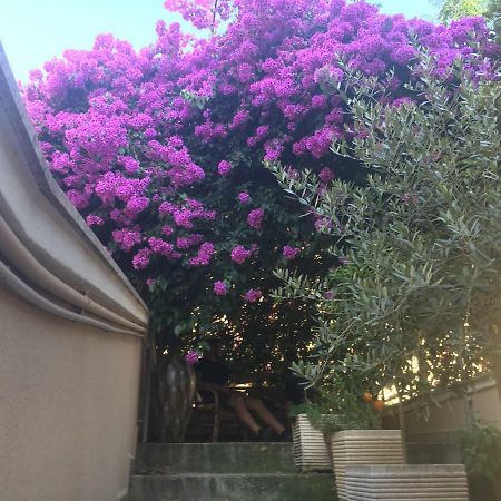 B&B La Bougainvillea Andria Exteriör bild